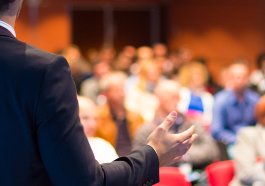 image containing stylised picture of a consultant presenting to cyber security professionals