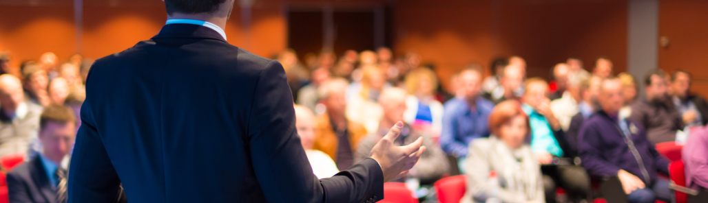 image containing stylised picture of a consultant presenting to cyber security professionals